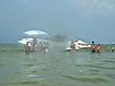ship island 31017r.jpg